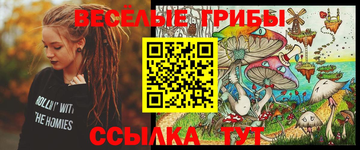 Галлюциногенные грибы прущие грибы Зеленогорск