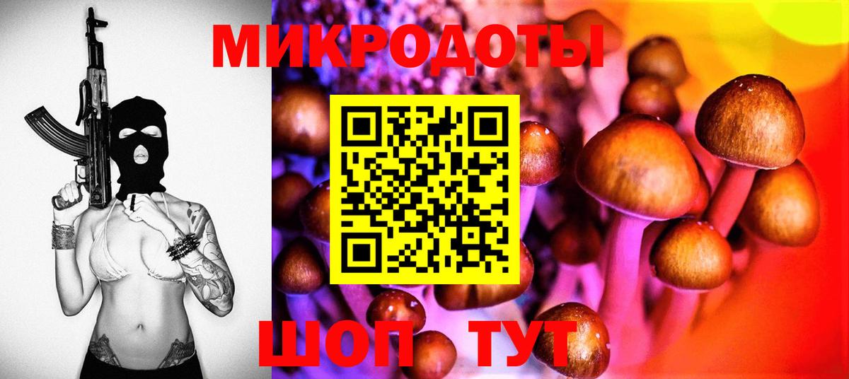 Зеленогорск  Псилоцибиновые грибы Magic Shrooms  Вход с VPN 